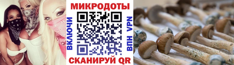 Галлюциногенные грибы мухоморы  даркнет сайт  Гремячинск 